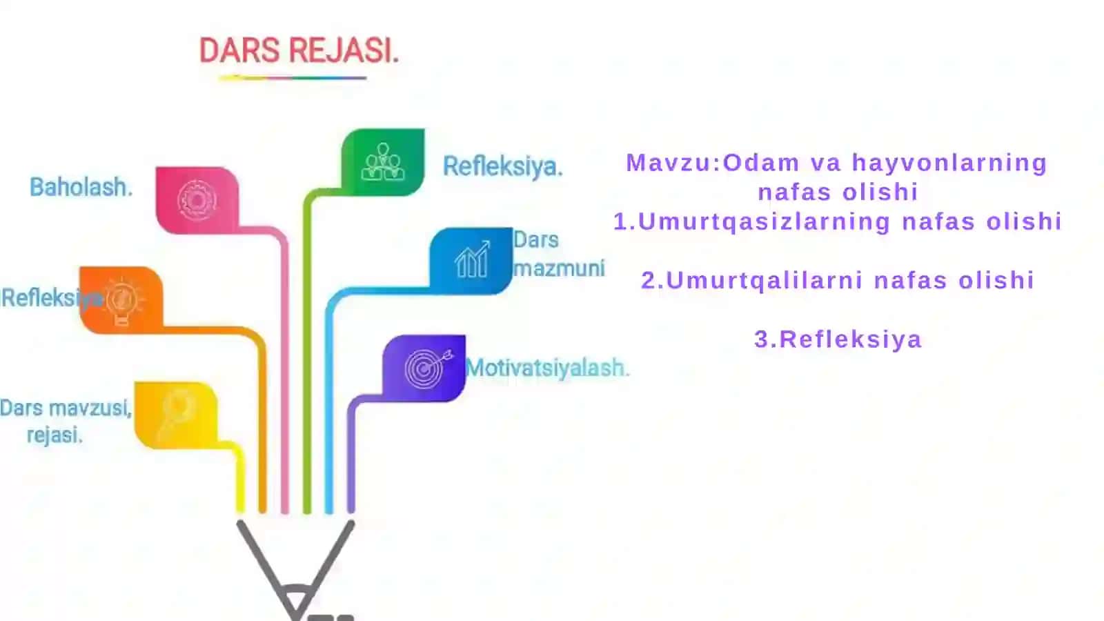 Odam va hayvonlarning nafas olishi 2