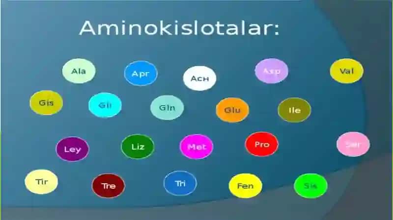 AMINOKISLOTALARNING STRUKTURASI, KLASSIFIKATSIYASI. 2
