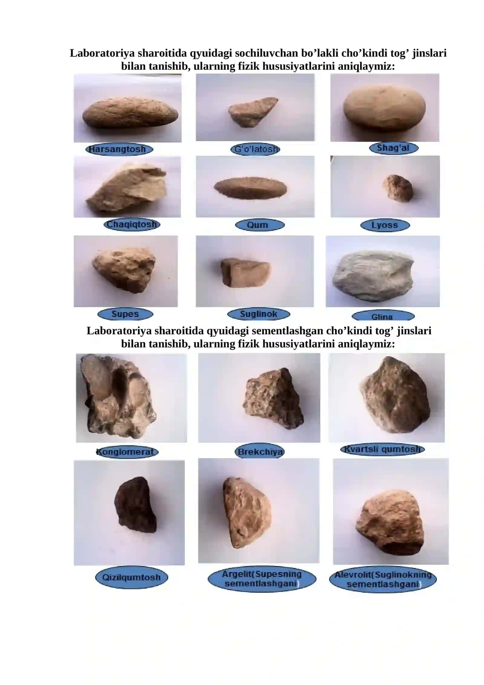 Bo’lakli cho’kindi tog’ jinslari- magmatik, metamorfik 2