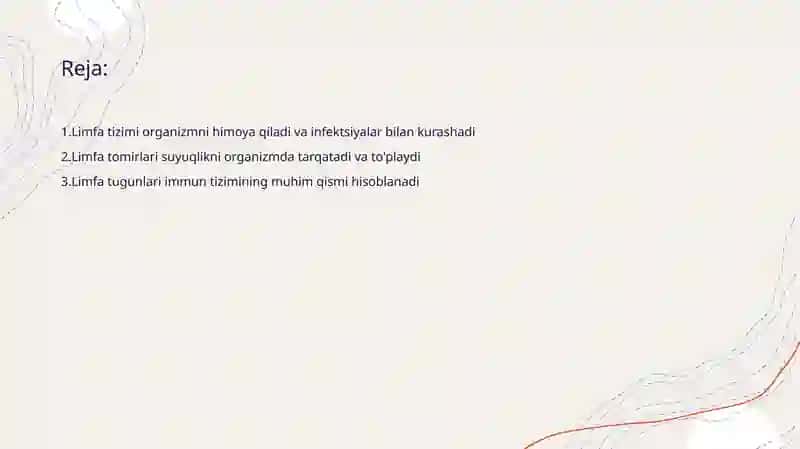 Limfa sistemasi 2