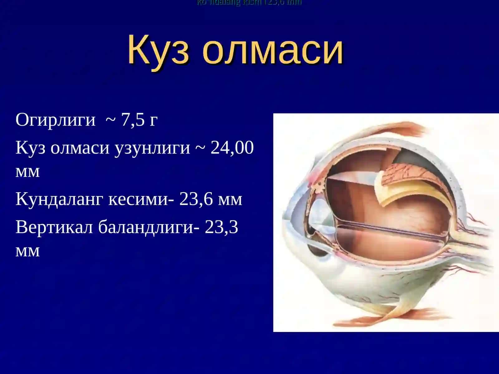 Курув аьзоси клиник анатомияси 2