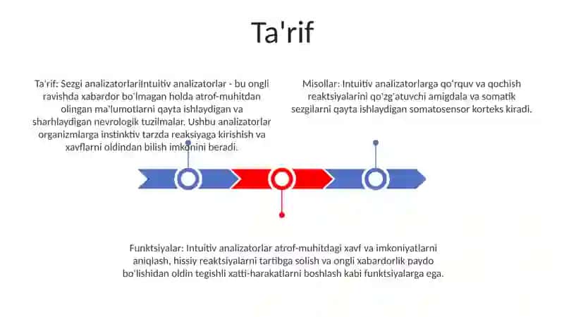 Sezgi Analizatori 2