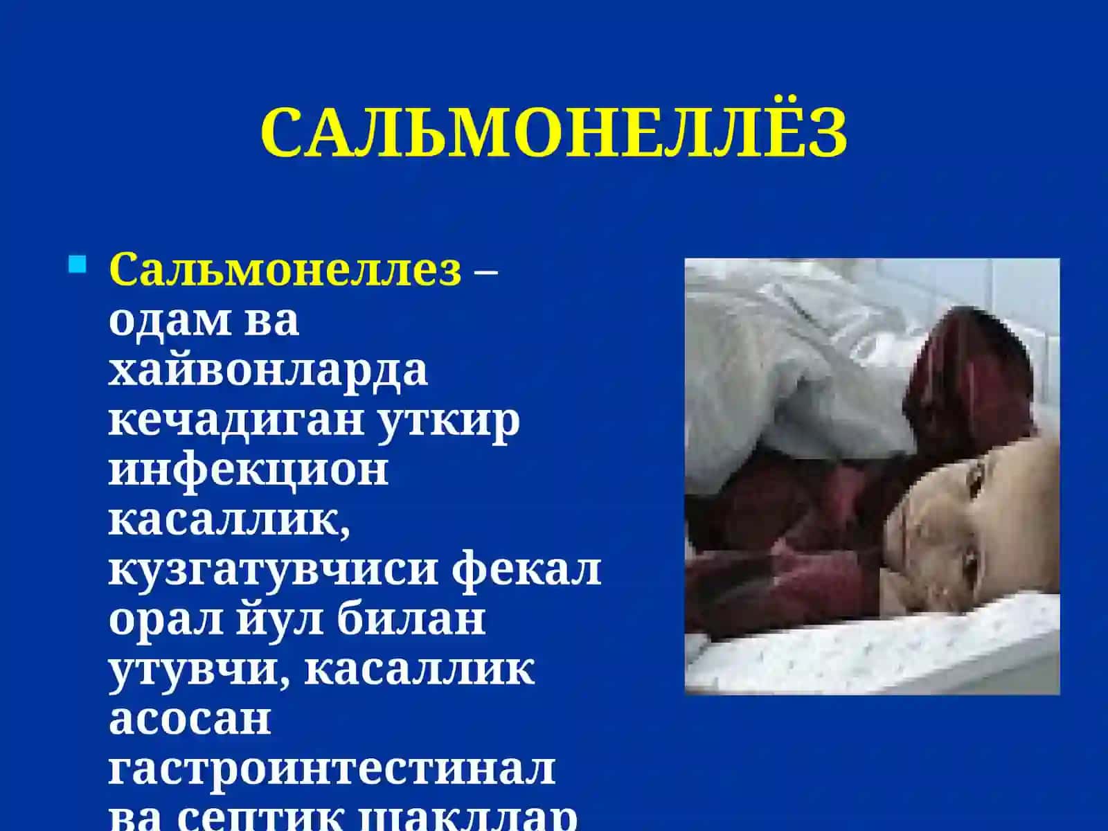 САЛЬМОНЕЛЛЁЗ 2