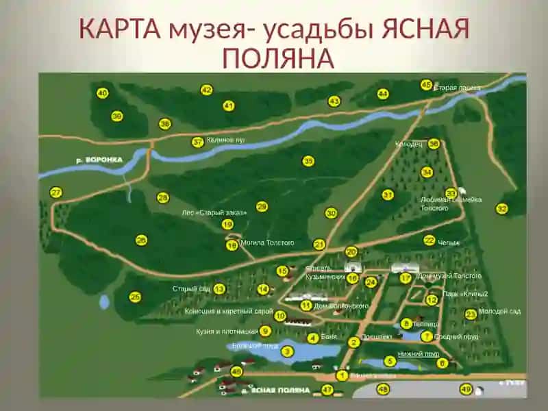 Музей усадьба Л. Н. Толстого ЯСНАЯ ПОЛЯНА 2