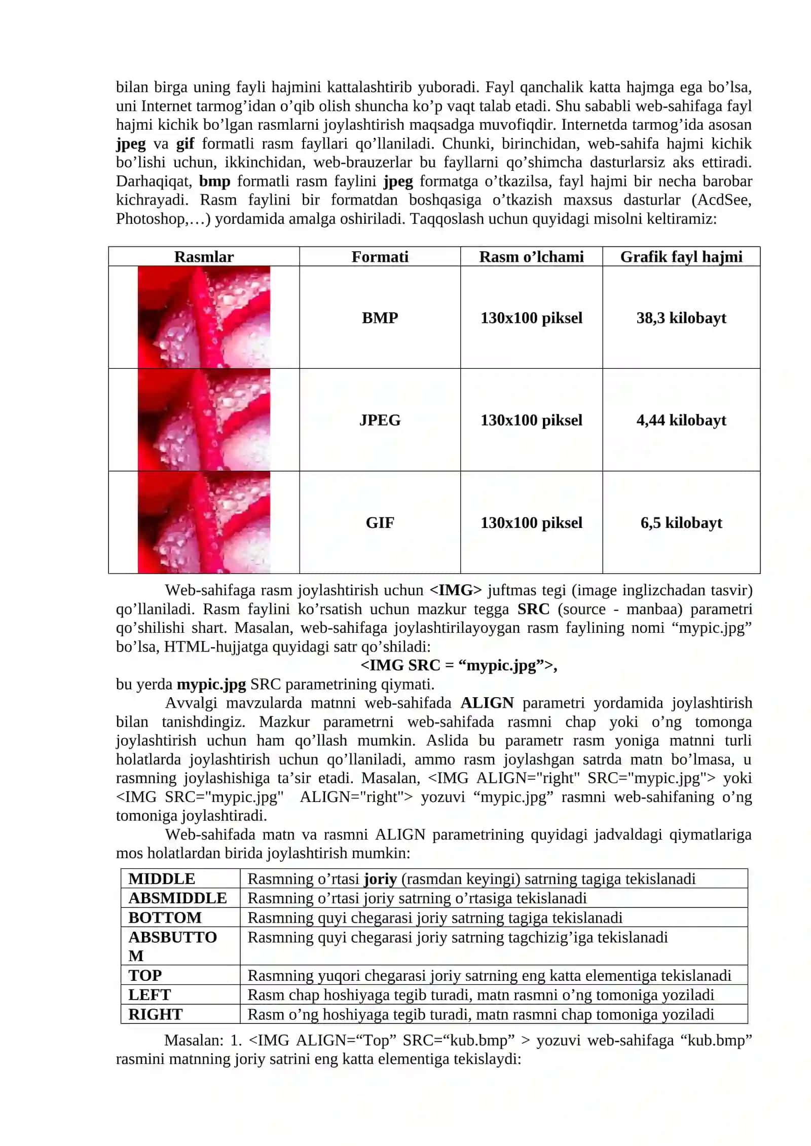 Web-sahifaga grafikli, rasmli ma,lumotlar joylashtirish 2
