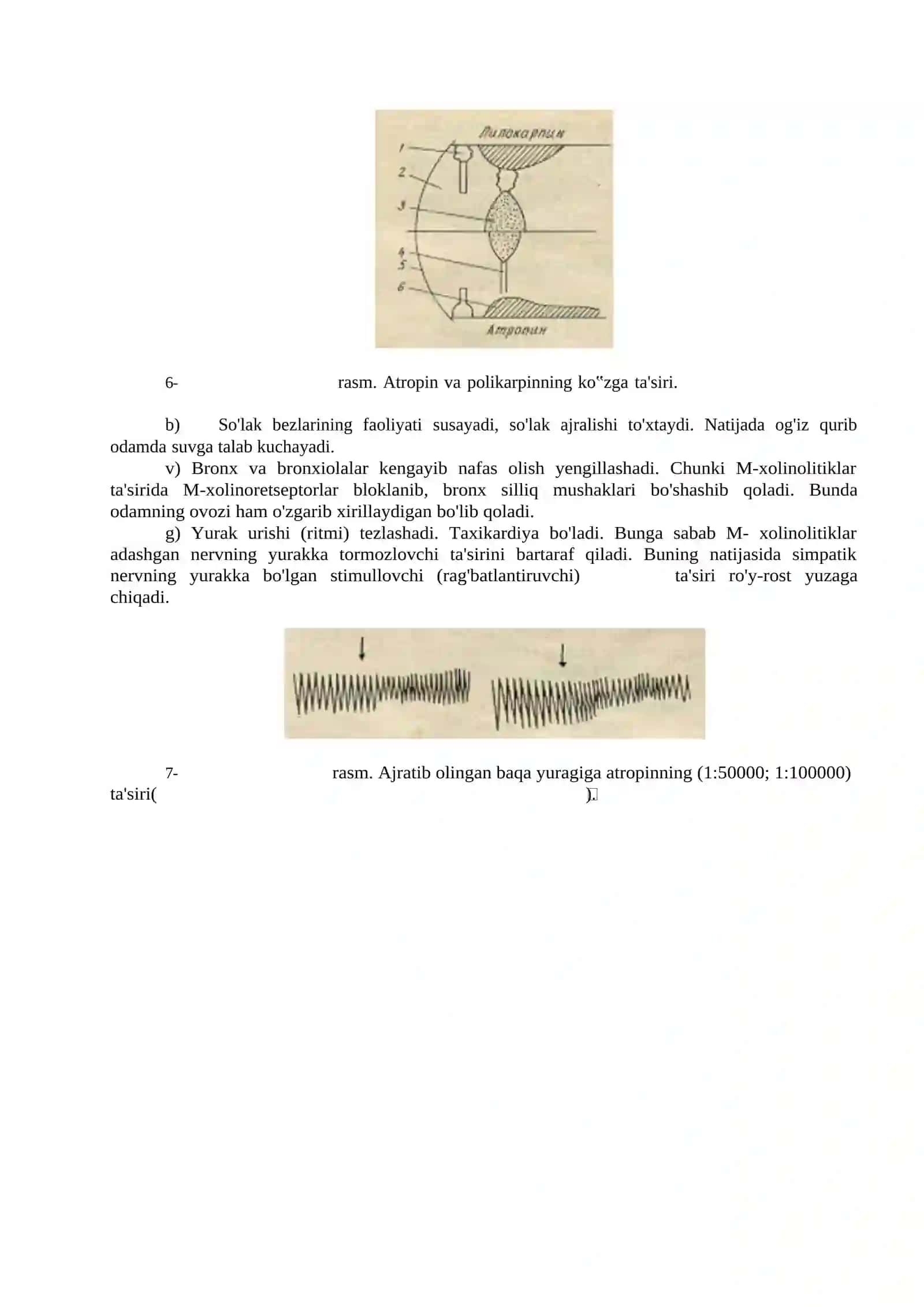 Belladona, bangidevona, mingdevona o'simlik preparatlari 2