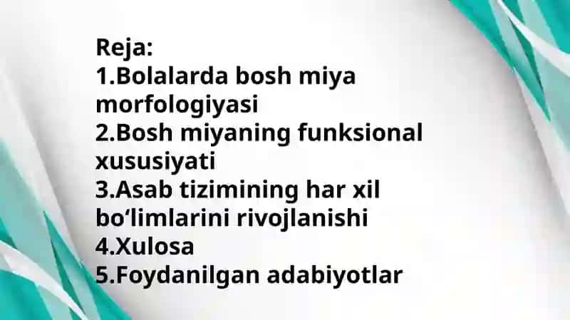 Bolalarda bosh miyaning morfologik va funksional xususiyatlari. Tugʻilgandan keyin markaziy asab tizimining oʻsish va differensirovkasi, neyronlar differensirovkasi, mielimizatsitaya jarayoni, asab tizimining har xil boʻlimlarini rivojlanishi. 2