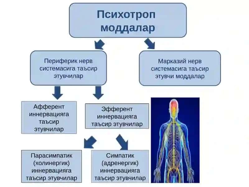 Фармакология 2