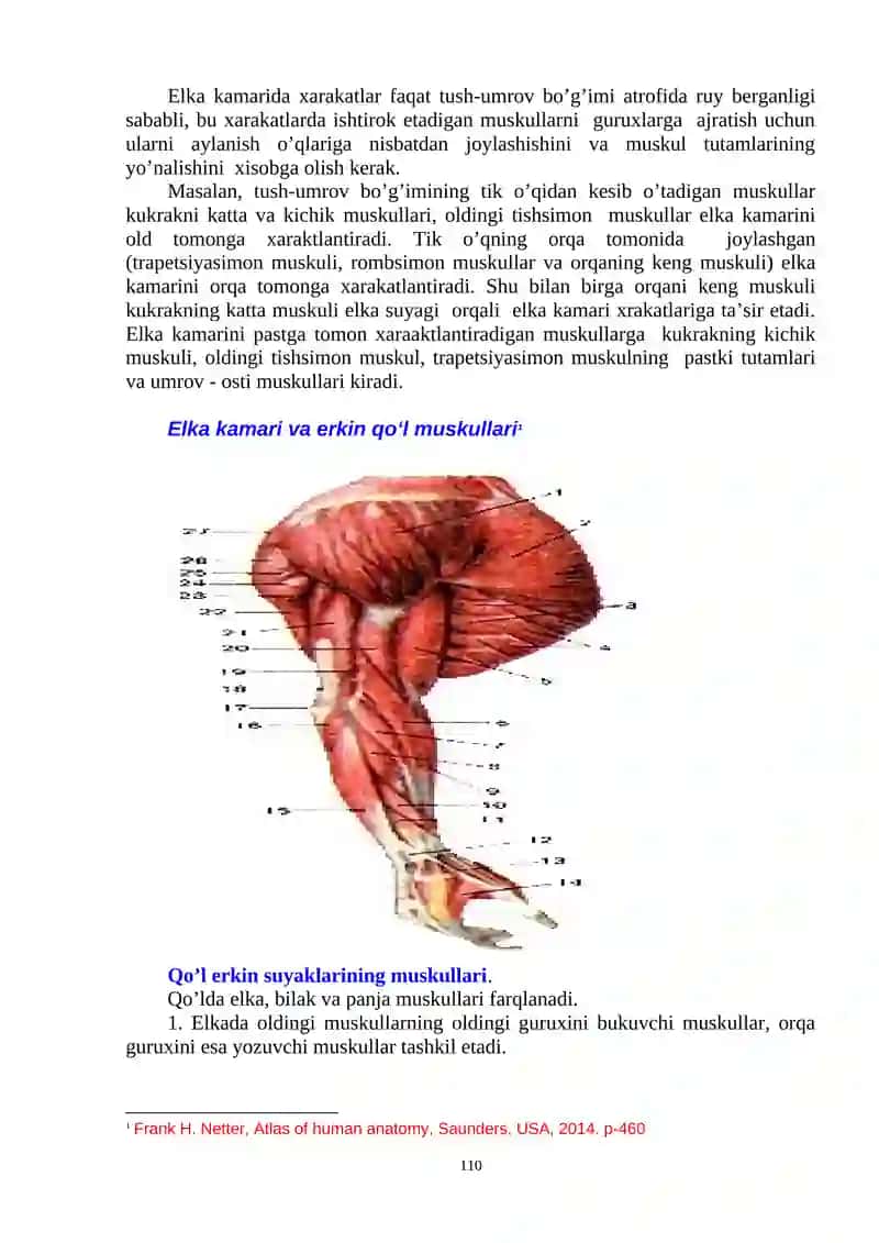 MA’RUZA № 6 2
