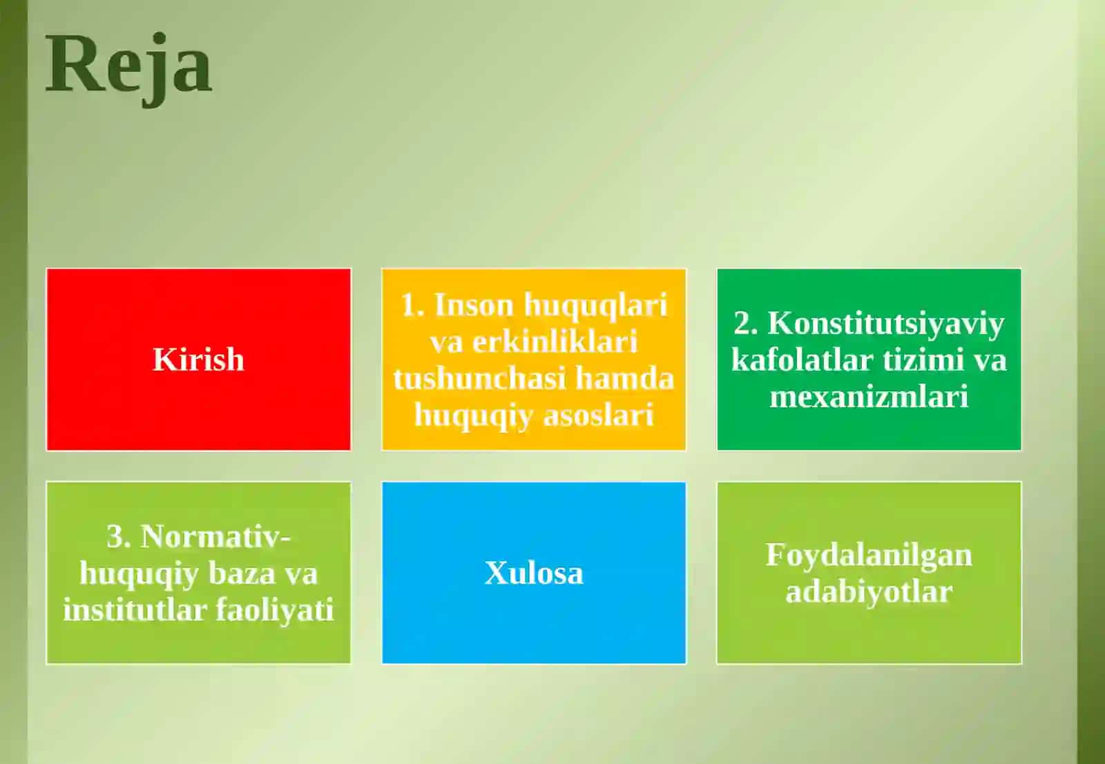 Inson huquqlari va erkinliklarining konstitutsiyaviy kafolatlari 2