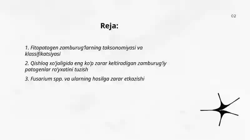 Fitopatogen zamburug'lar o'rganish va ularning ro'yxatini tuzish 2