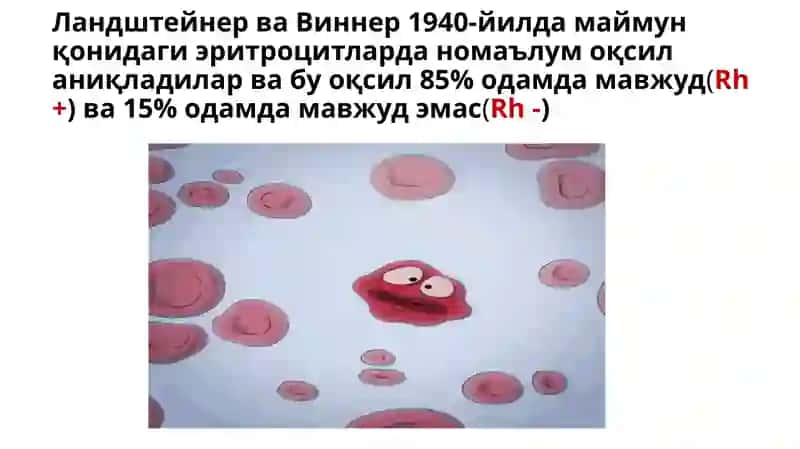 Akusherlik va Ginekologiya Kafedrasi 2