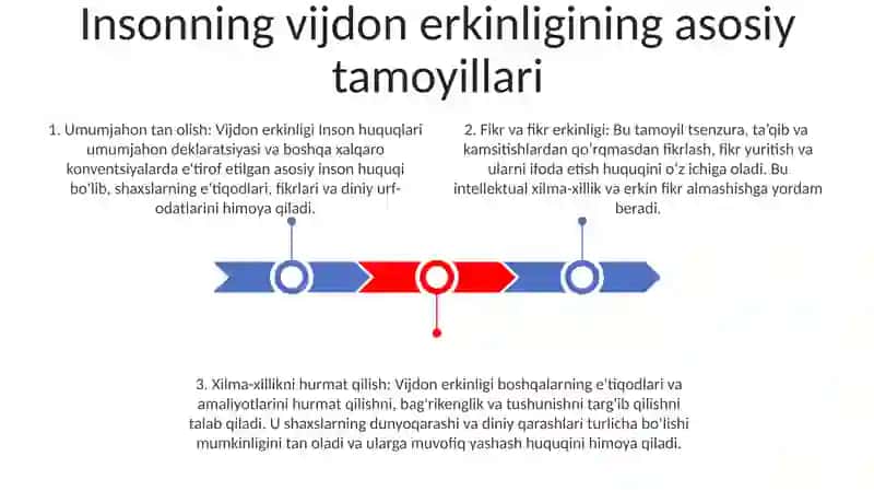 Insonningsaylovhuquqiprinsiplariningumumiytasnifi 2