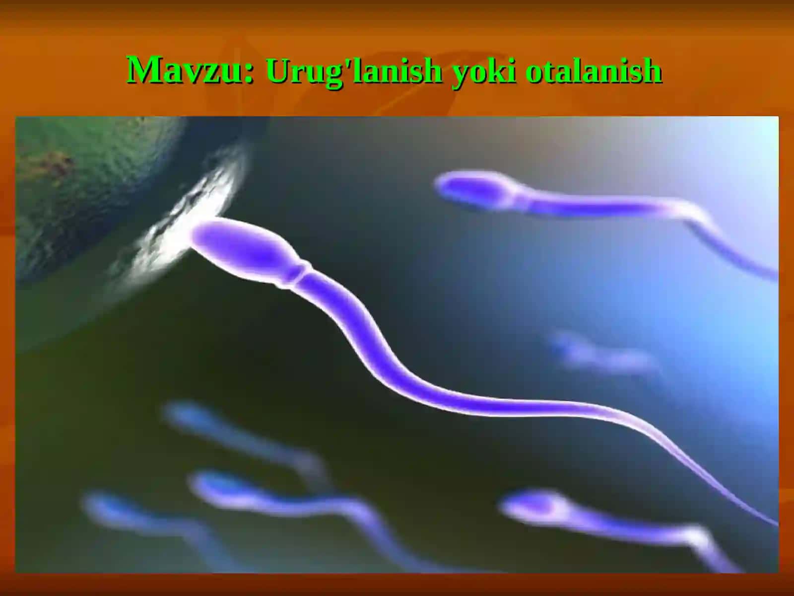 Urug'lanish yoki otalanish 2