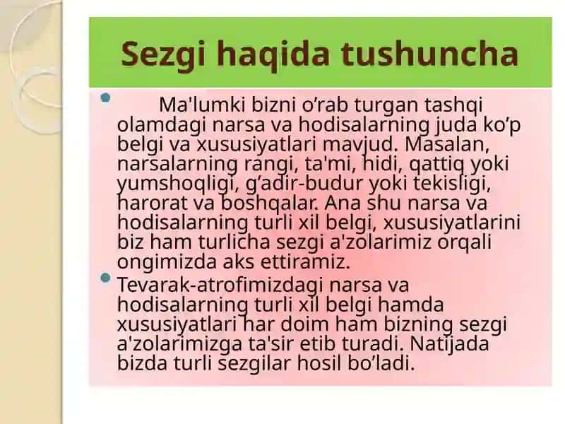 Sezgilarning nerv - fiziologik asoslari 2