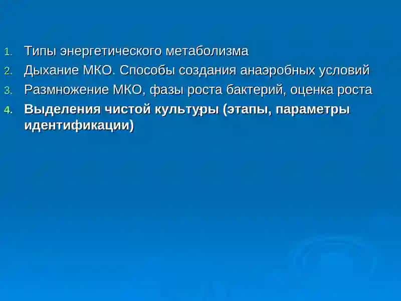Физиология микроорганизмов (дыхание, размножение) 2