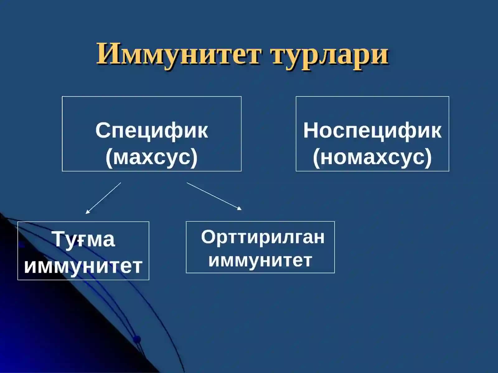 ИММУНИТЕТ 2