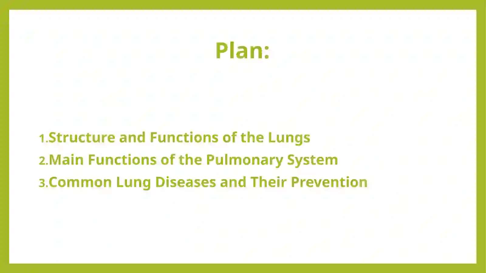 Lungs and a pulmonary system 2