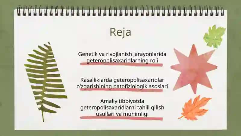 Geteropolisaxaridlarni ontogenez va kasalliklardagi oʻrni 2