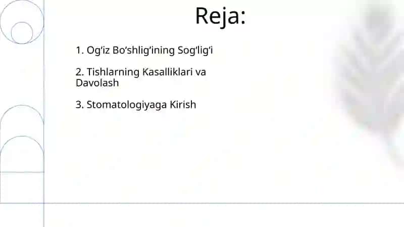 Stomotologiya 2