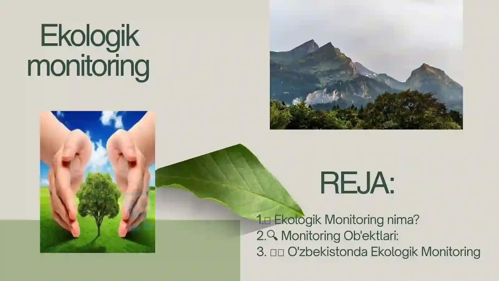 Ekologik Monitoring 2