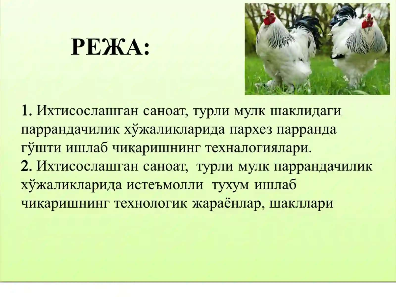 Паррандаларнинг тухум ва гўшт маҳсулдорлиги 2