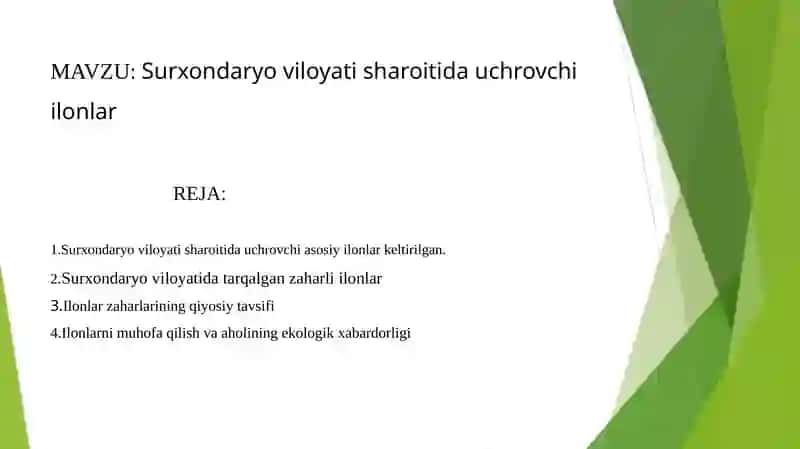 Surxondaryo viloyati sharoitida uchrovchi ilonlar 2