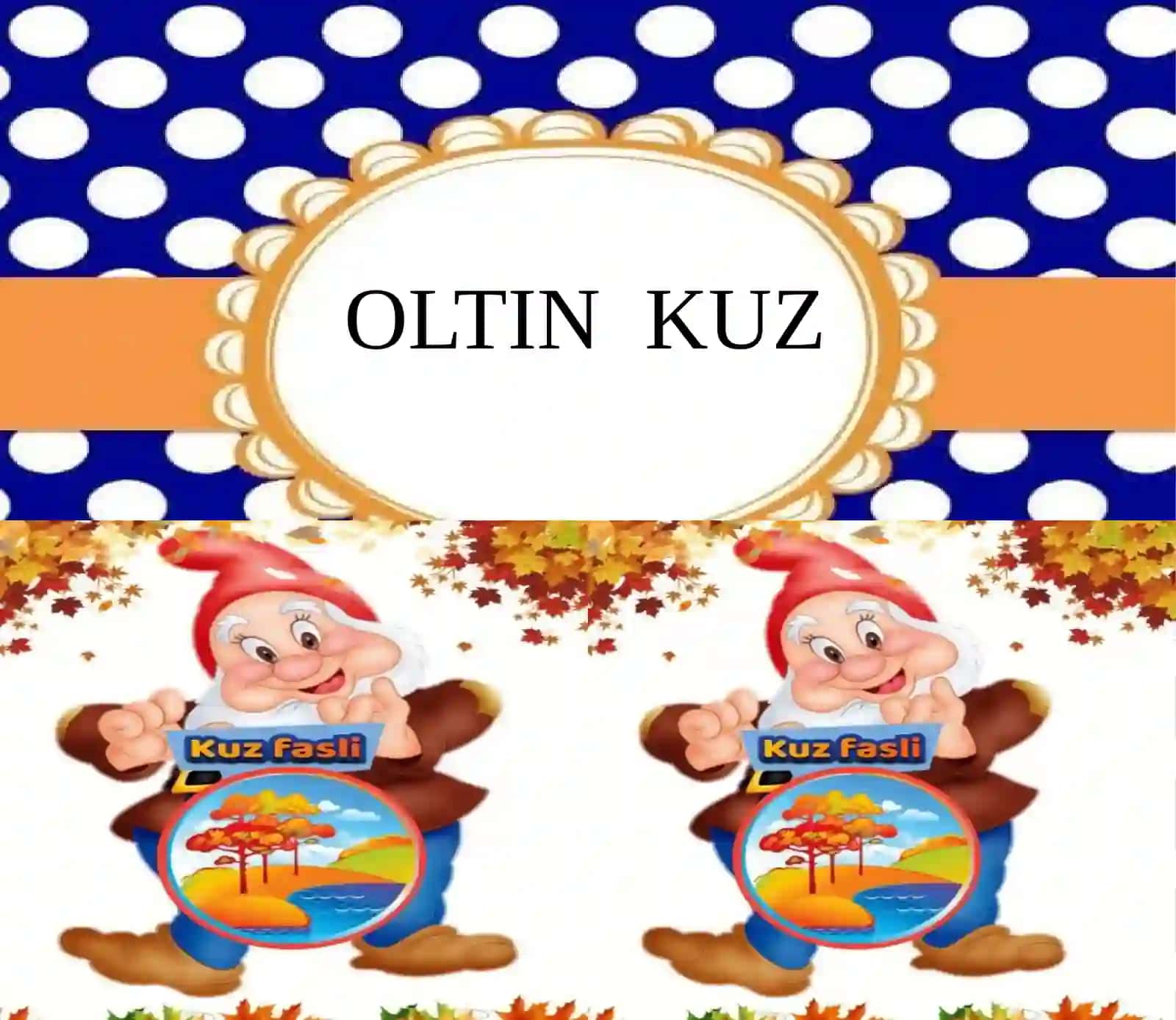 OLTIN KUZ 2