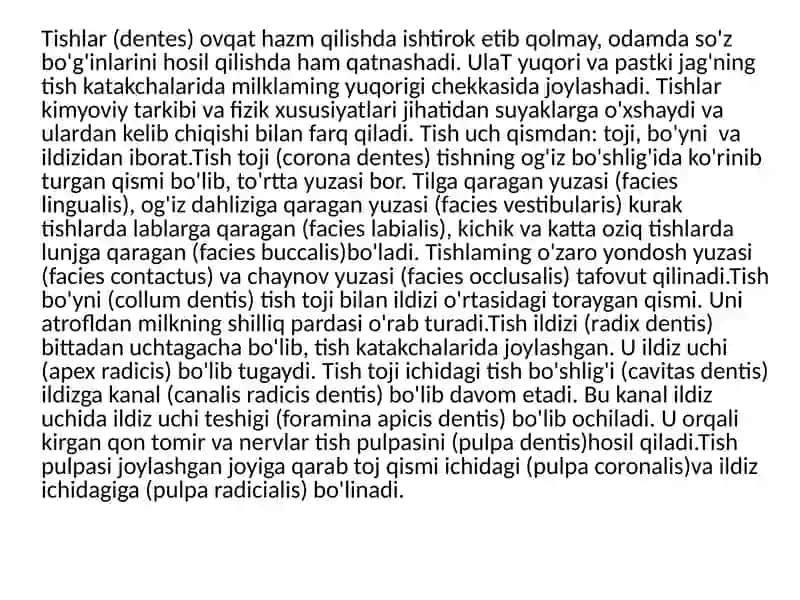 Tishlar (Dentes) 2