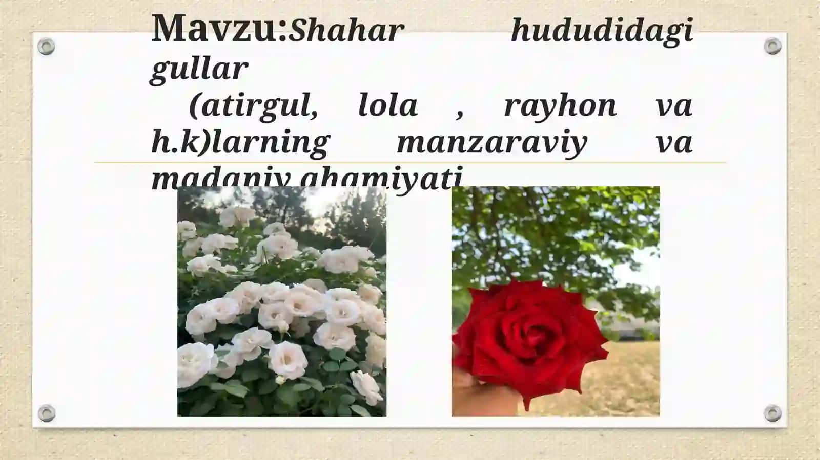 Buxoro Davlat Universiteti Tabiiy fanlar va Agrobiotexnologiya fakulteti 2-1 AKT 25 guruhta talabasi Jabborova Shaxruzaning Botanika va o'simliklar fiziologiyasi fanidan tayyorlagan MUSTAQIL ISHI 2
