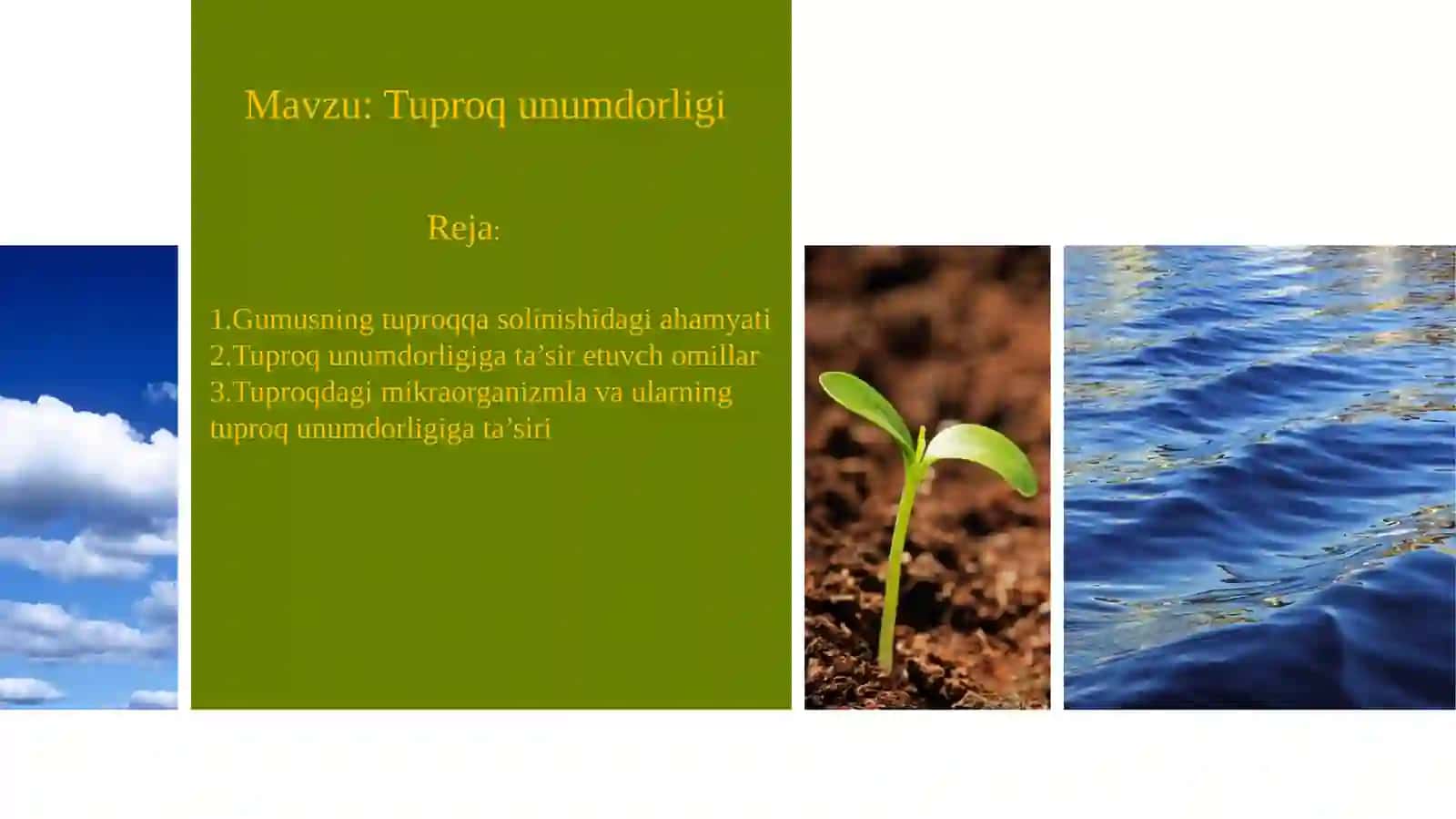 Tuproqunumdorligi 2