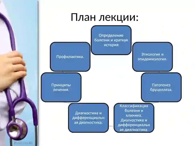 БРУЦЕЛЛЕЗ 2