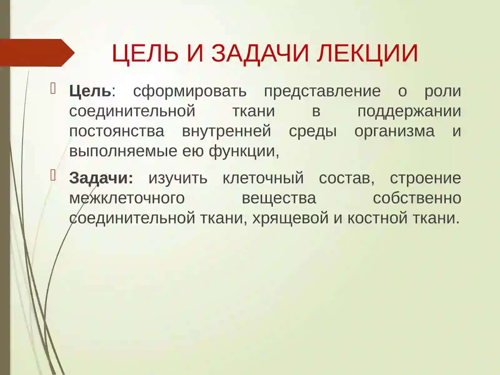 Соединительная ткань. Хрящевая и костная ткань 2