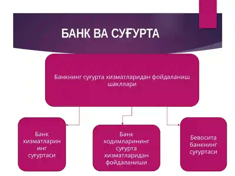 Суғурта хизматлари 2