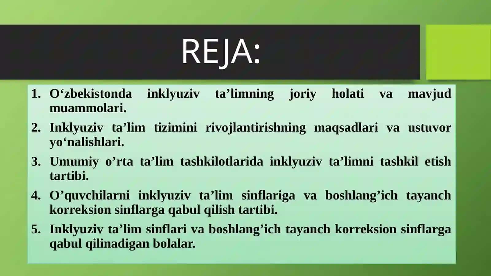 Umumta’lim maktablarida inkluziv ta’lim chiqilgan bola larni o‘qitish bo‘yicha pedagogik jarayonni tashkil etish yo‘llari 2