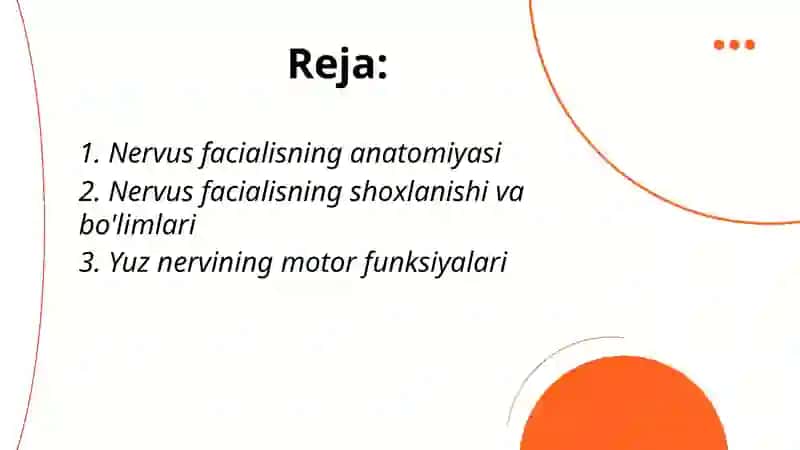 Nervus facialis yuz nervi 2