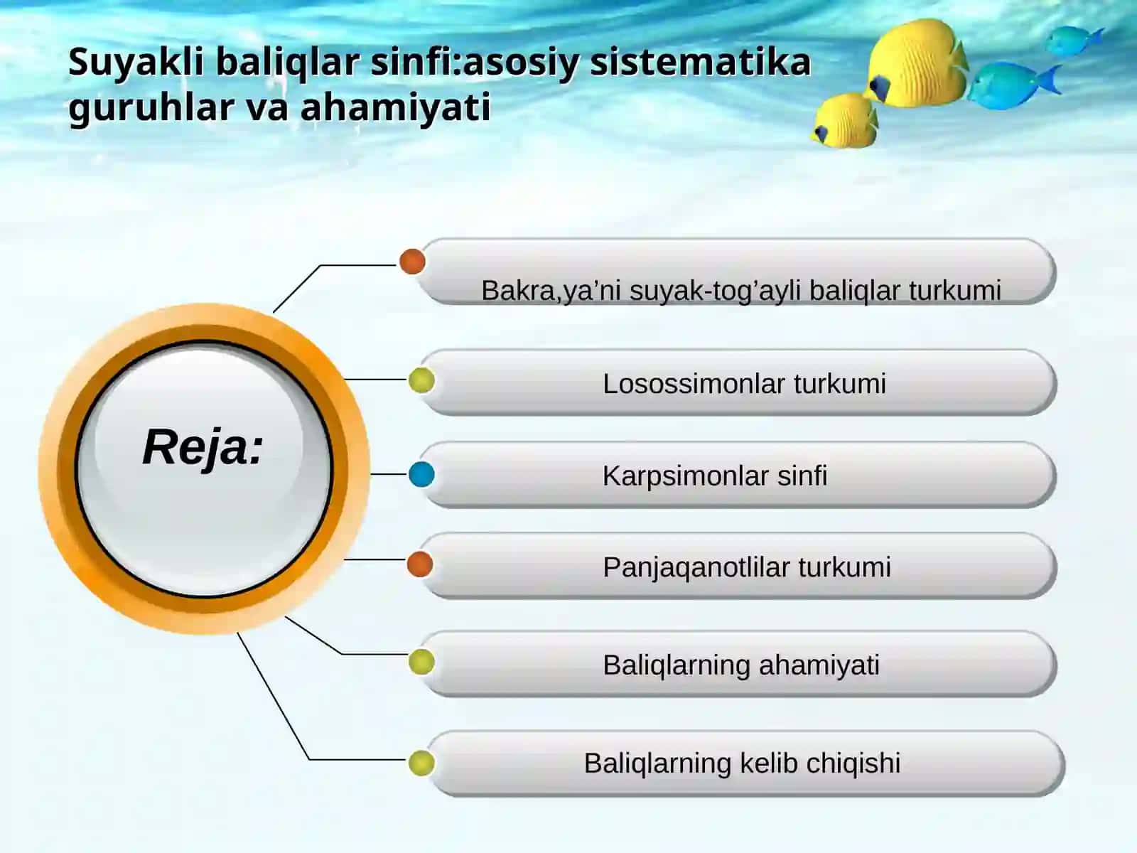 Suyakli baliqlar sinfi:asosiy sistematik guruhlari va ahamiyati 2