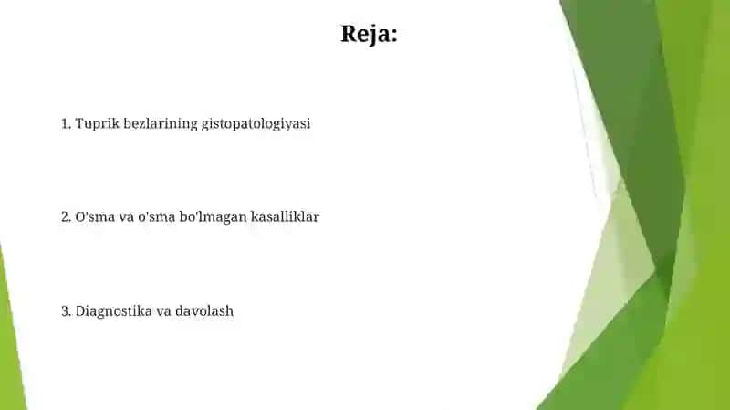 Sut bezlari Gistalogiyasi 2