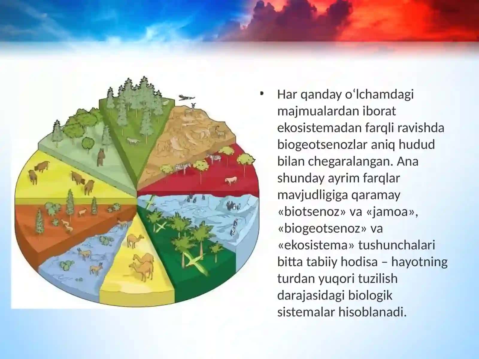 11-sinf Biologiya dars ishlanma. Ekosistemalarning tarkibiy qismlari 2