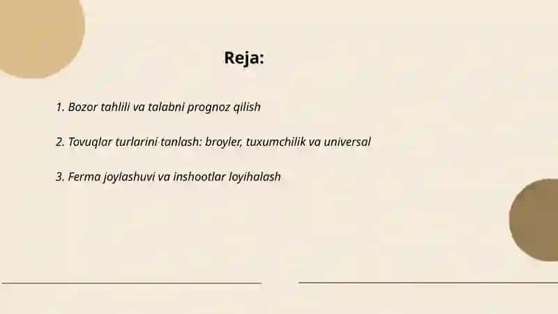 Parrandachilik buyicha biznes loyiha 2