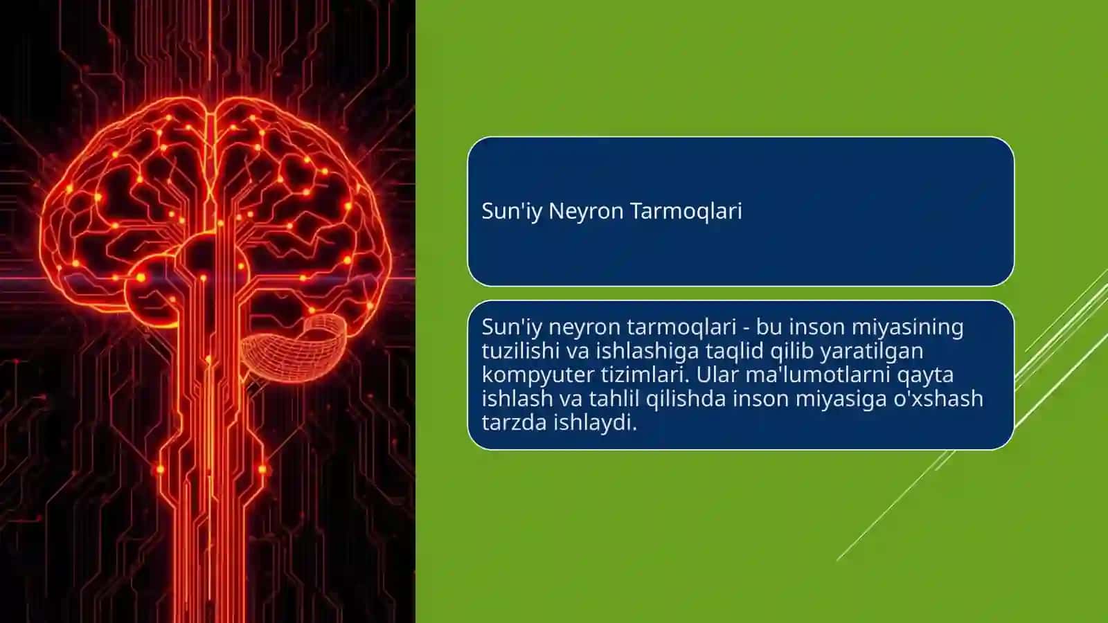 Suniy neyron tarmoqlari 2