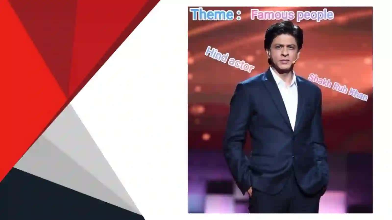 Shah Rukh Khan 2