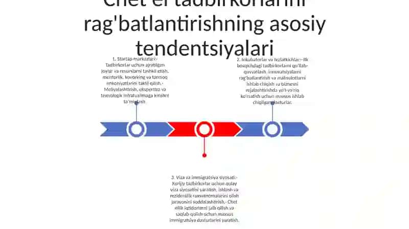 Tadbirkorlik Faoliyatini Qolab Quvatlashning Xorij Tajribalari 2