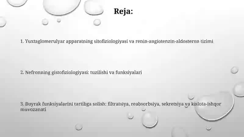 Buyrakning yukstaglomerulyar apparati sitofiziologiyasi.Nefronning gistofiziologiyasi 2