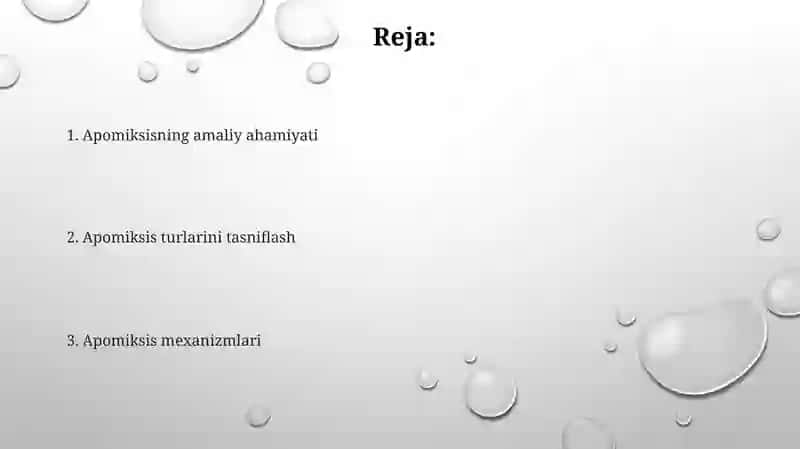Apomiksiz klassifikatsiyasi 2