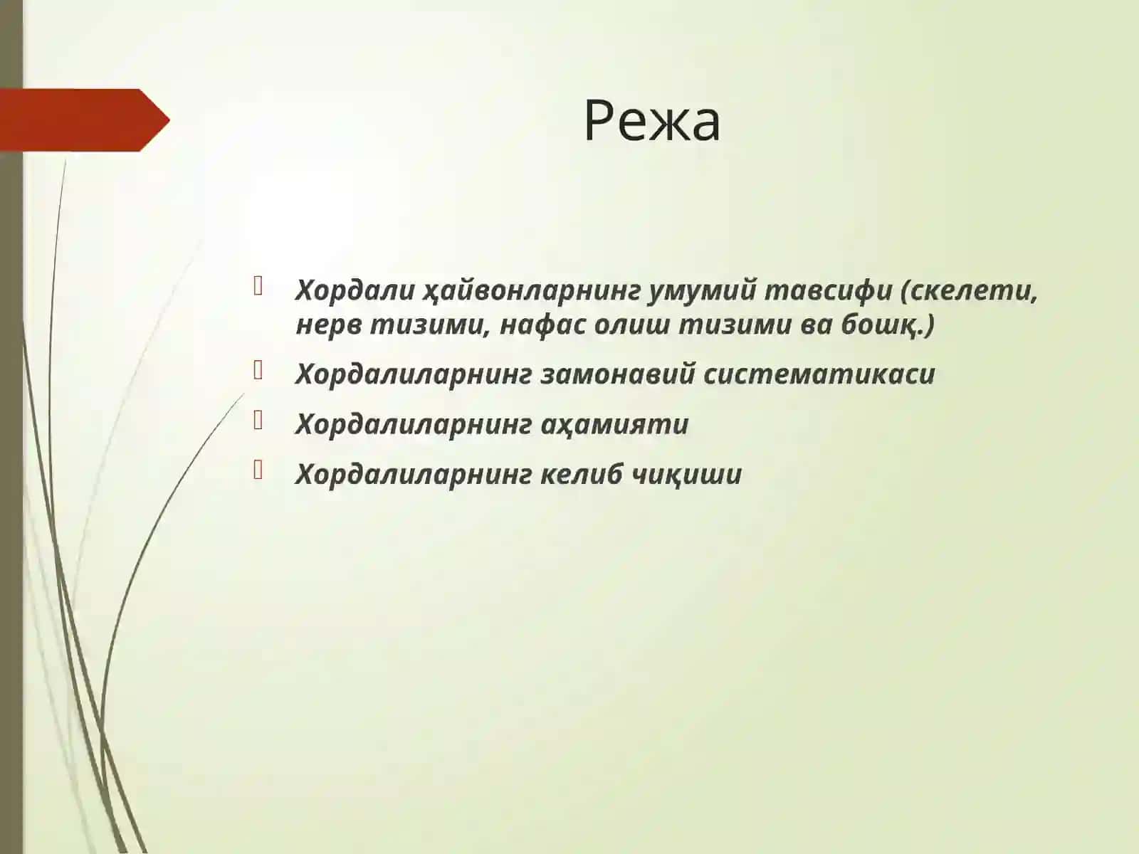 Хордалиларнинг систематикаси 2