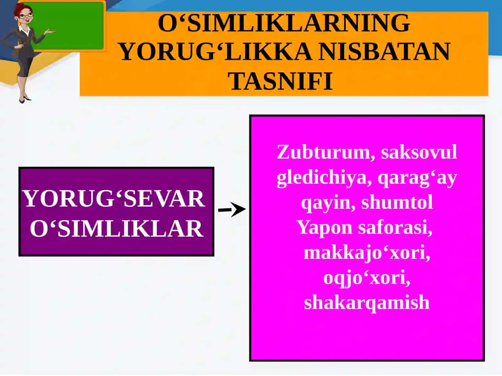 O‘SIMLIKLARNING YORUG‘LIKKA NISBATAN TASNIFI 2