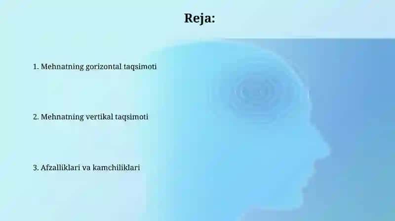 Mehnatni gorizantal va vertikal taqsimlanishi 2