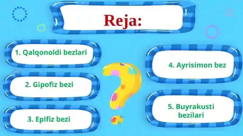 Qalqonoldi, gipofiz, ayrisimonbez, buyrakustibezlari 2
