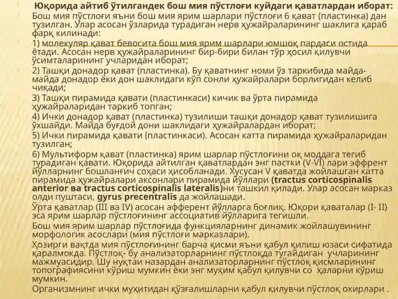 Бош мия пўстлоғи. Бош мия утказув йуллари 2